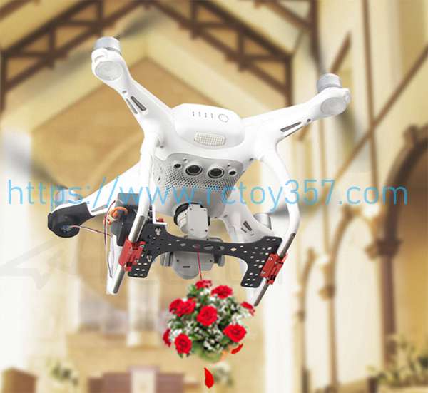 RCToy357.com - Thrower DJI Phantom 4 Pro V2.0 RC Drone