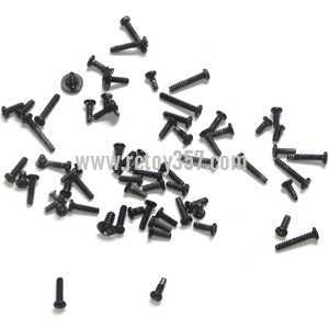 RCToy357.com - Feixuan Fei Lun RC Helicopter FX059 toy Parts Screws pack set