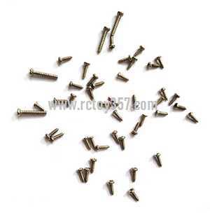 RCToy357.com - LISHITOYS L6055 L6055W RC Quadcopter toy Parts Screw package