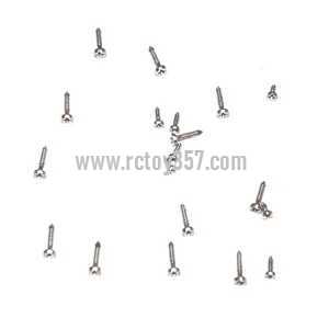WLtoys WL V939 toy Parts Screws pack set (image for) WLtoys WL V939 toy Parts Screws pack set